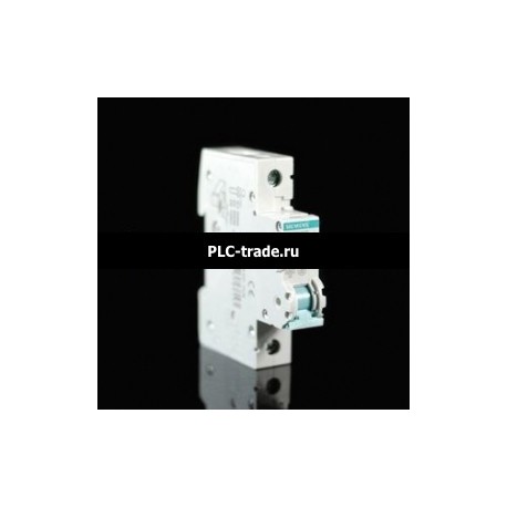 5SJ6101-7CR Siemens Circuit breaker 