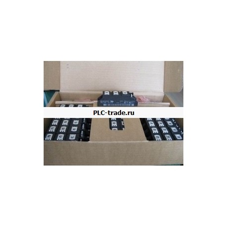BSM300GA170DN2  300A/1700V/1U