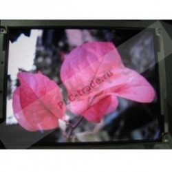 NL10276BC24-13C 12.1'' LCD панель