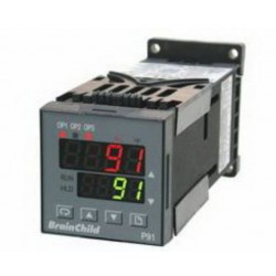 P91 BRAINCHILD ELECTRONIC CO., LTD - аналоговый контроллер температуры / PID / с программируемой рампой / конфигурируемый