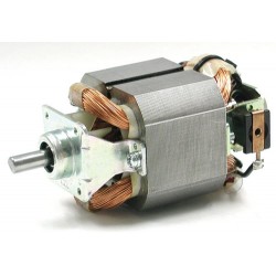 UR series Chiaphua Components - Двигатель AC